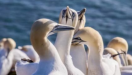 kaiyun：云端之翼，开启数字化新纪元