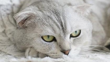 开云服务-BOB半岛体育：在海风中追逐每一次心跳